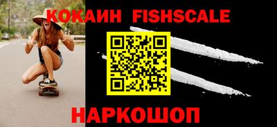 индика Гусев