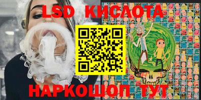 индика Гусев