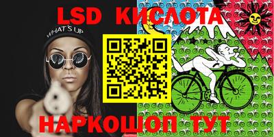 гашик Гусь-Хрустальный