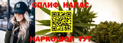 гашик Гусь-Хрустальный