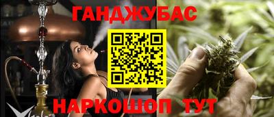 гашик Гусь-Хрустальный