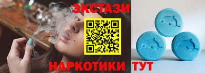 индика Гусев
