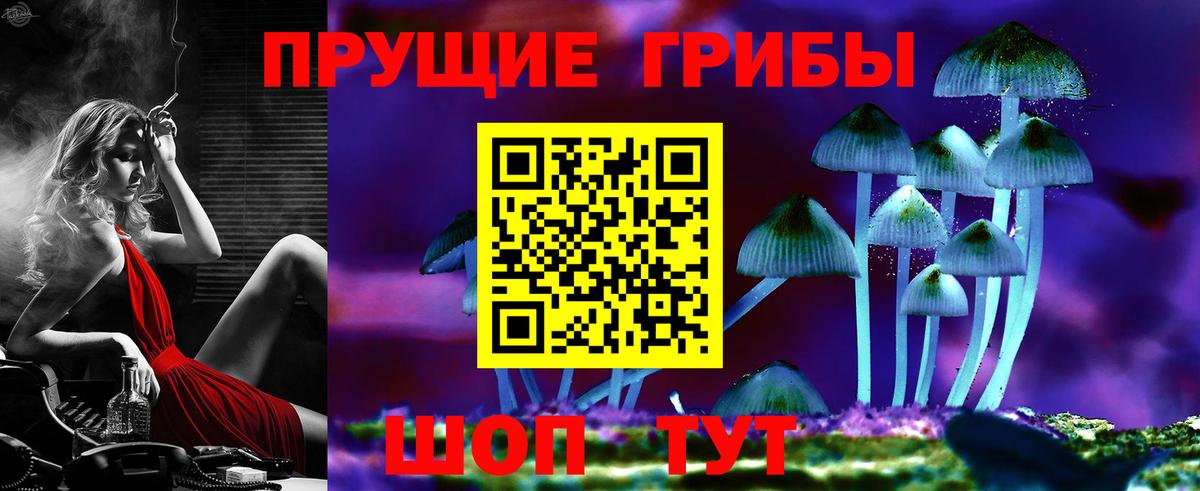 Котельники  Псилоцибиновые грибы GOLDEN TEACHER  Вход с VPN 